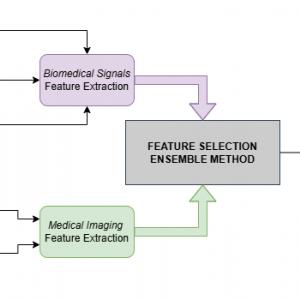 Publication: Feature Selection in Healthcare Datasets: Towards a Generalizable Solution