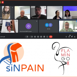 Joint workshop of FLAMIN-GO and SINPAIN held
