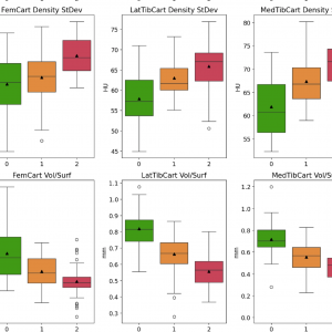 Publication: Objective stratification of knee osteoarthritis stages using a semi-supervised learning approach on multimodal MRI-CT cartilage features Publication: Objective stratification of knee osteoarthritis stages using a semi-supervised learning approach on multimodal MRI-CT cartilage features