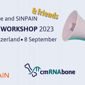 Cluster workshop co-organised by SINPAIN and cmRNAbone