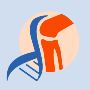 New publication: SINPAIN research advances promising hydrogels for cartilage regeneration New publication: SINPAIN research advances promising hydrogels for cartilage regeneration